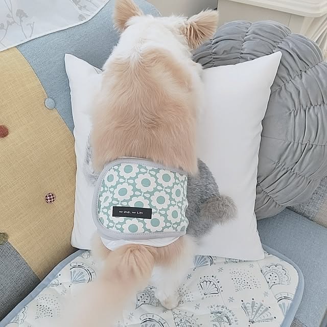 PAOさんの部屋
