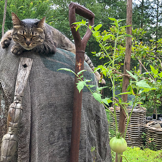 weさんの実例写真