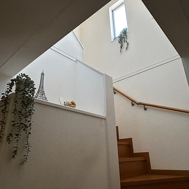 mirolさんの実例写真