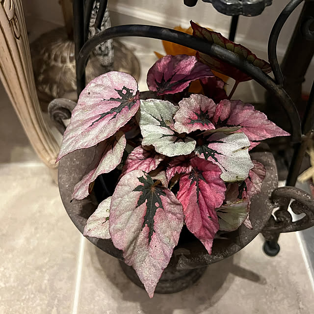 AYUKOさんの部屋