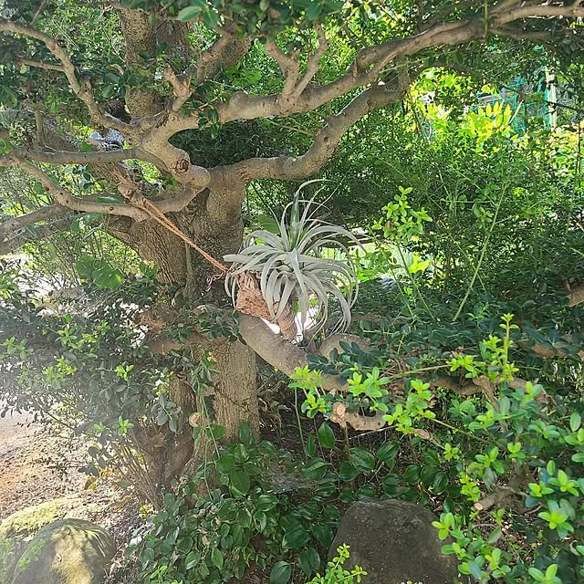 Rubiconさんの部屋