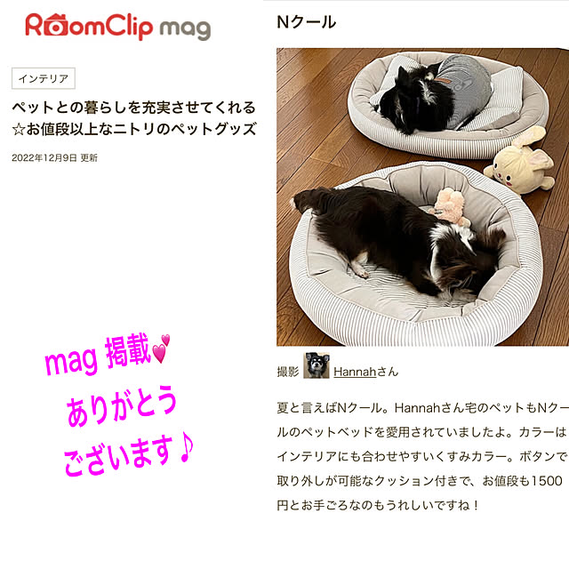 Hannahさんの実例写真