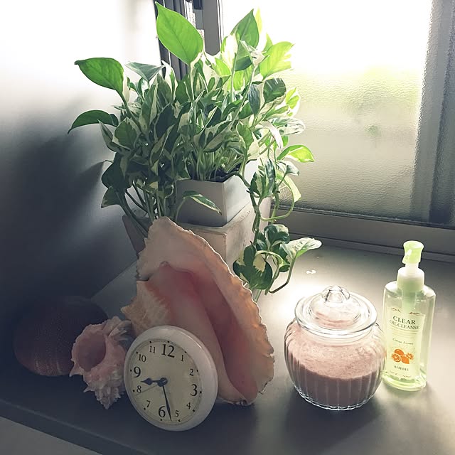 ange.zuzuさんの実例写真