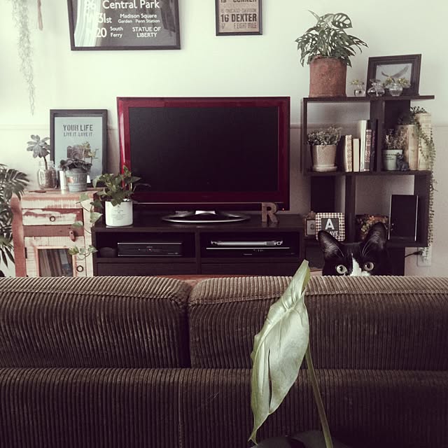 mikasakuさんの実例写真