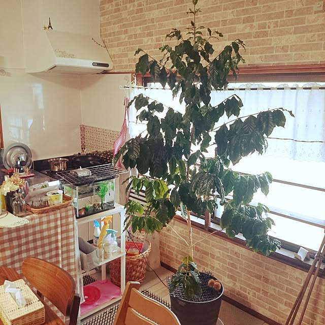 yutakaさんの実例写真