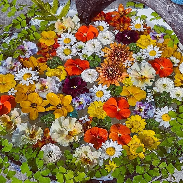 mocomocoさんの部屋