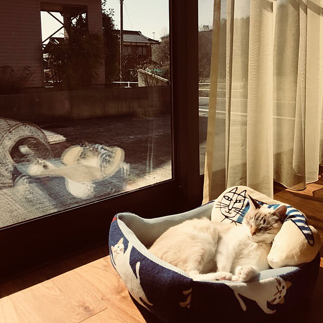 実例写真