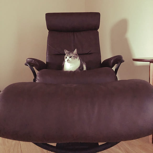 nekosikaさんの実例写真
