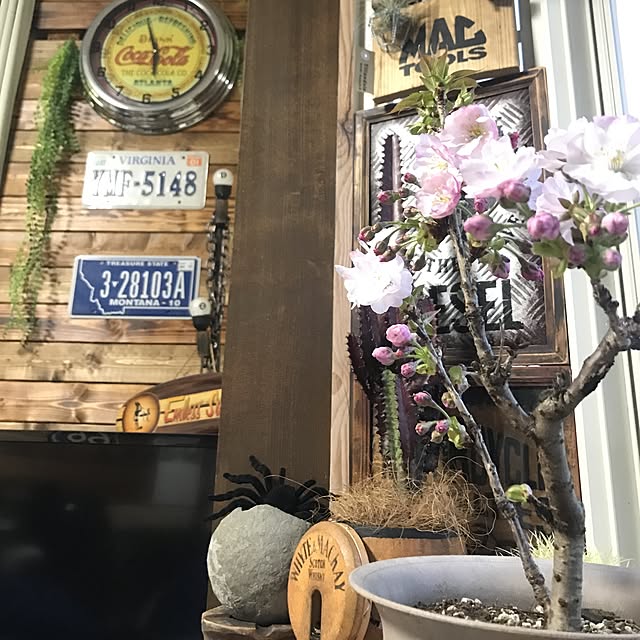 amさんの実例写真