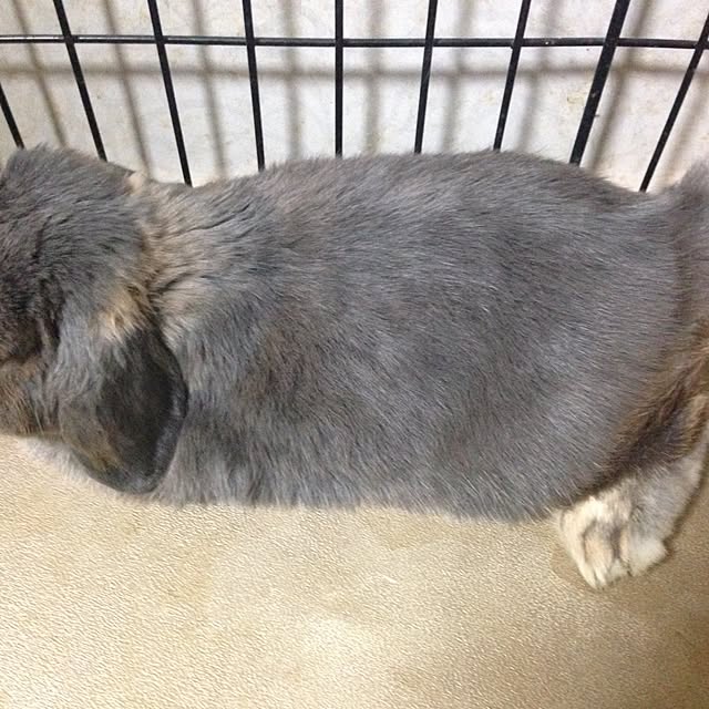 kimikoさんの実例写真
