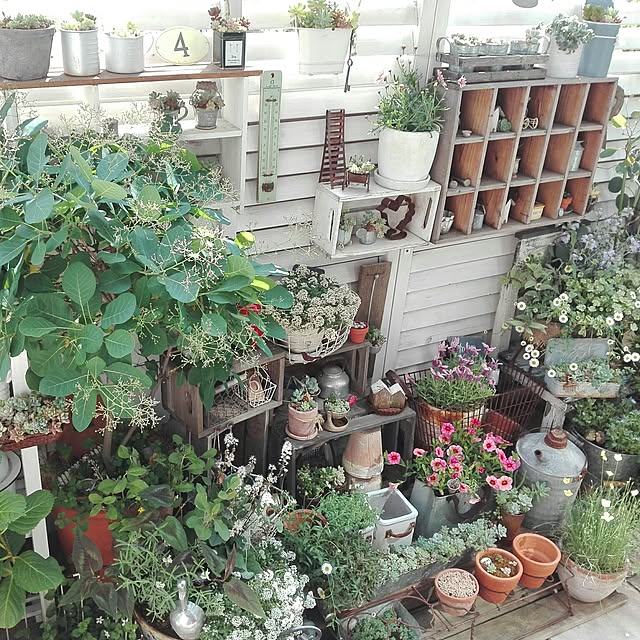 kokkomachaさんの実例写真