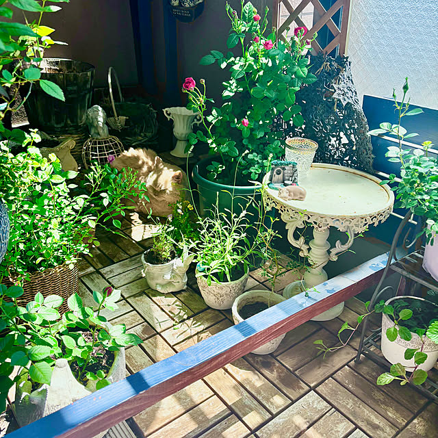 naokoさんの部屋