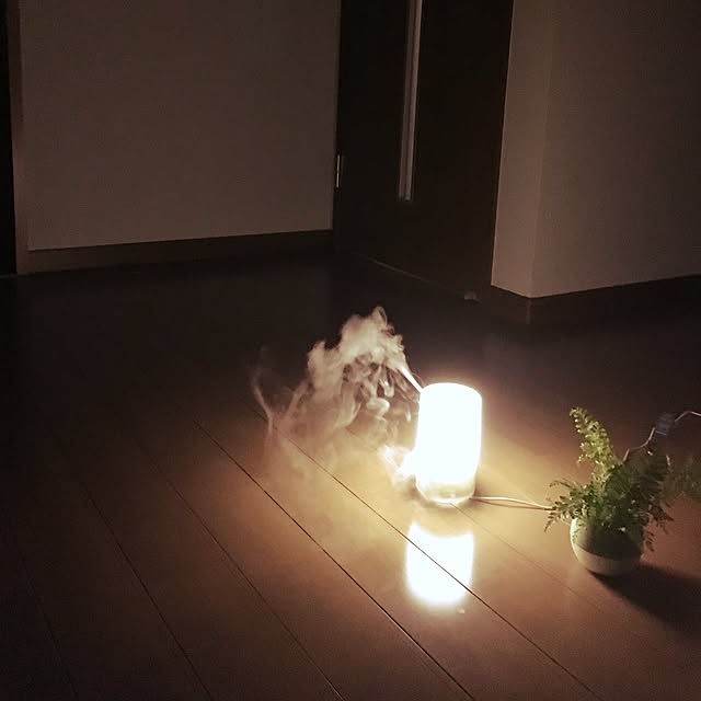 satoさんの実例写真