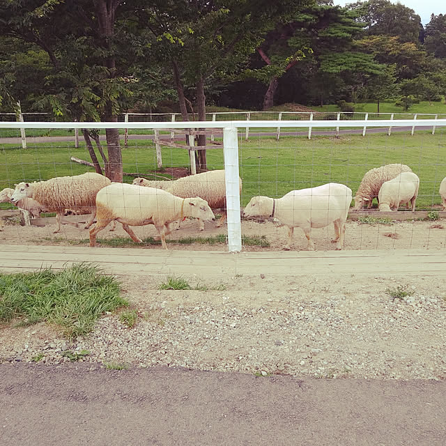 実例写真