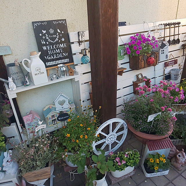seiko44さんの実例写真
