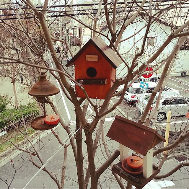 takuyamonth0429さんの実例写真