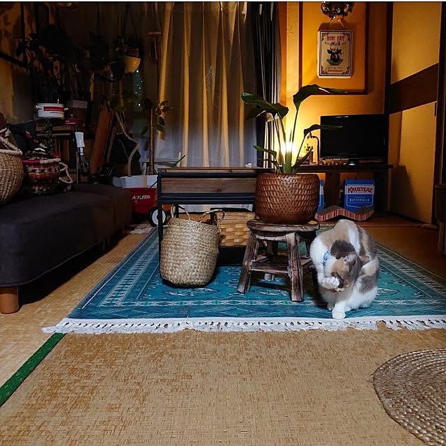 fukuさんの部屋