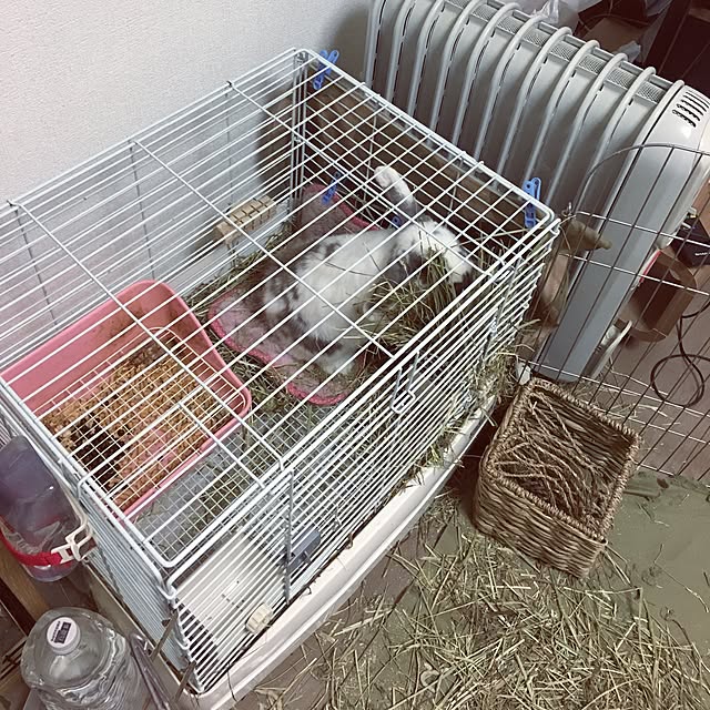 hazkiさんの実例写真