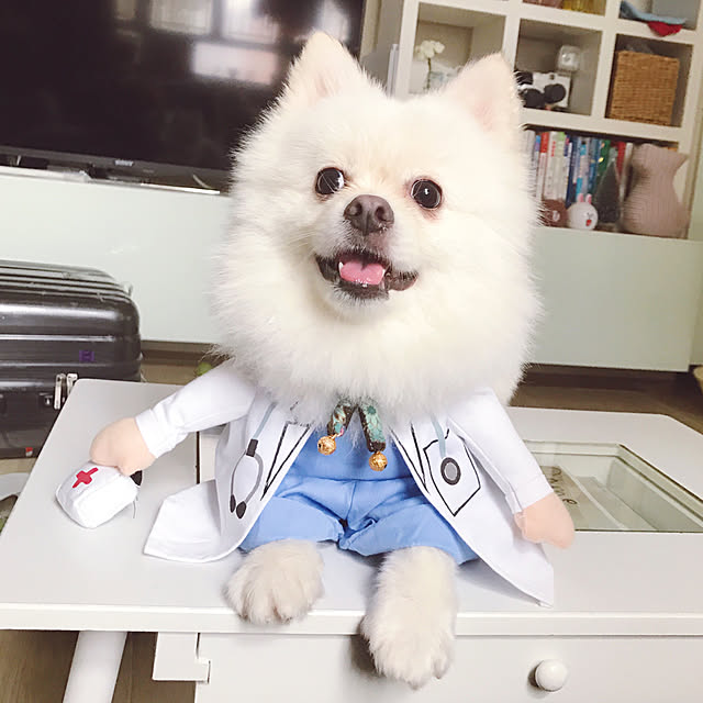 Belleさんの実例写真