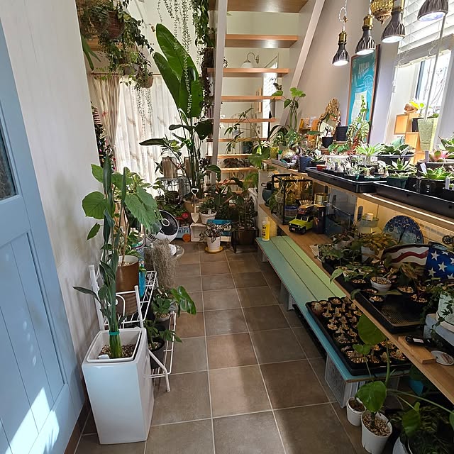nonbiri_house_さんの部屋