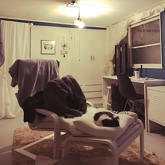 Shihoさんの実例写真