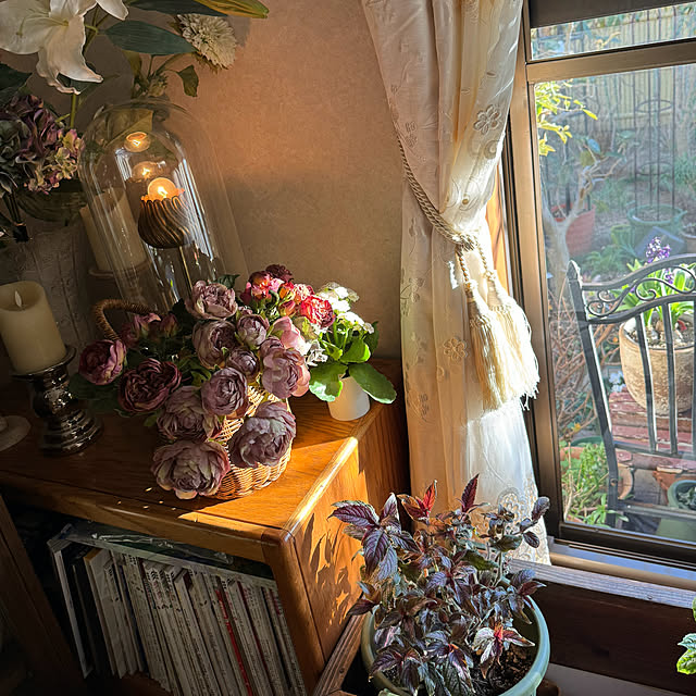 mamizaさんの部屋