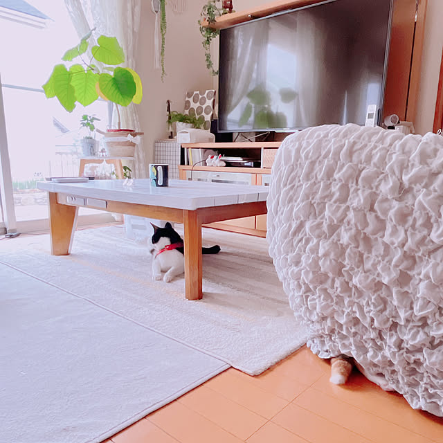 moolさんの部屋