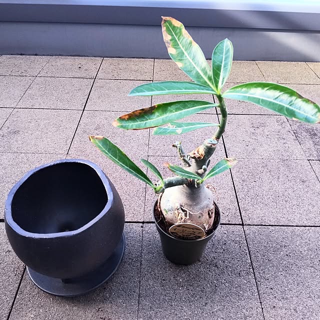 mtmtさんの実例写真