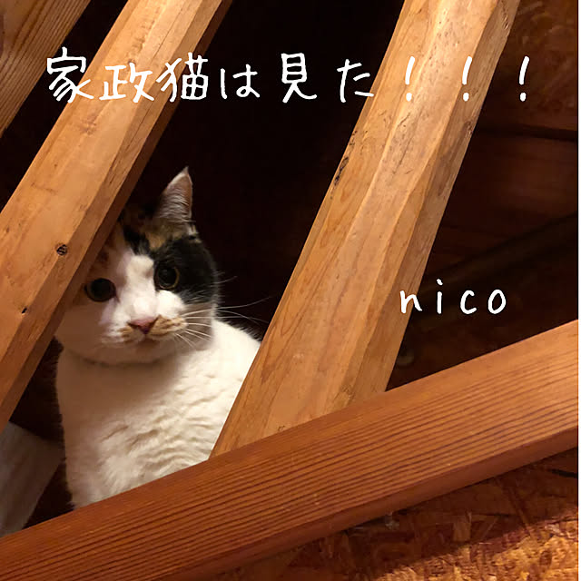nicoさんの実例写真
