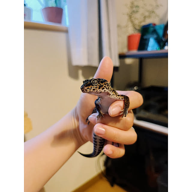 w_end_0625さんの実例写真