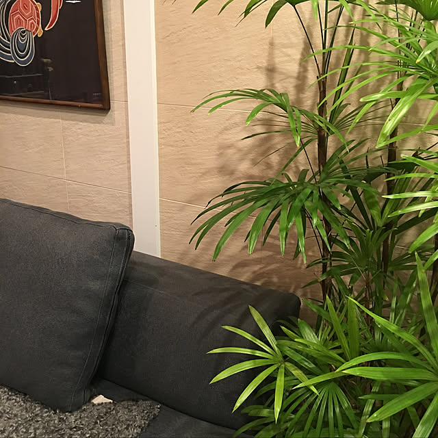 happy-sachiさんの実例写真