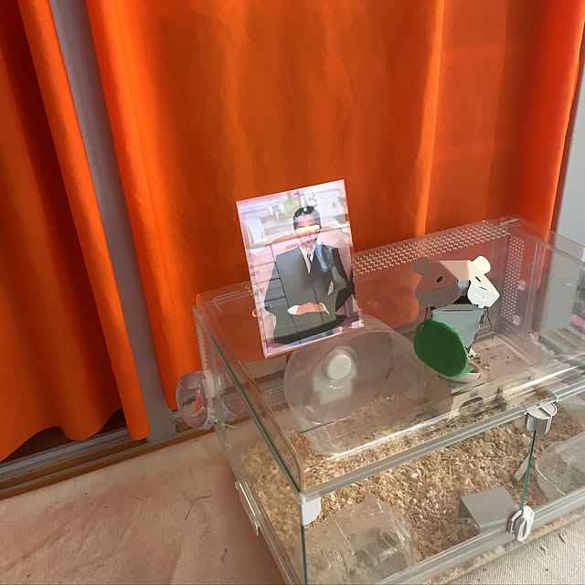 homu_smdさんの実例写真