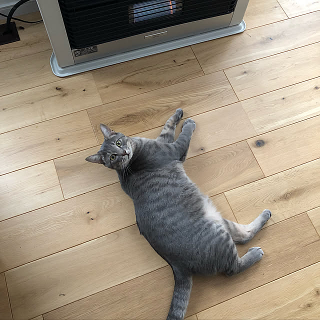 kuu511さんの実例写真
