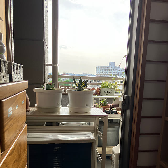koshiregutyoさんの部屋