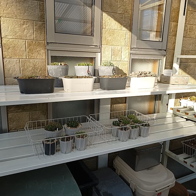 soyokoさんの部屋