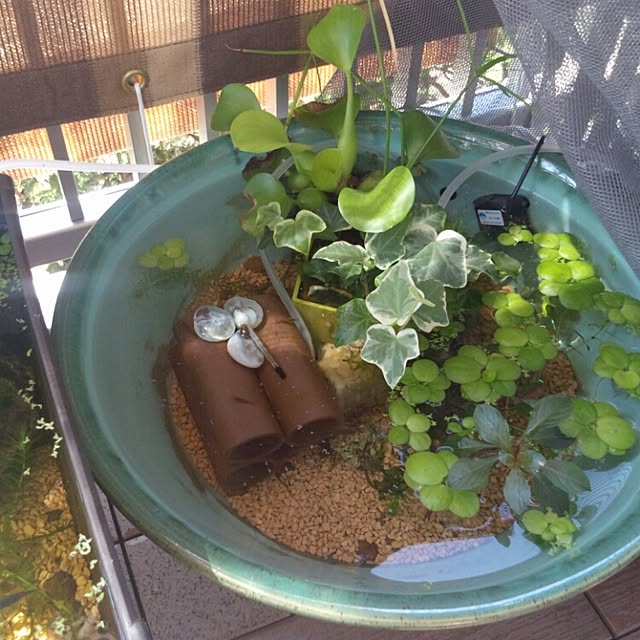 KOHAKUさんの実例写真
