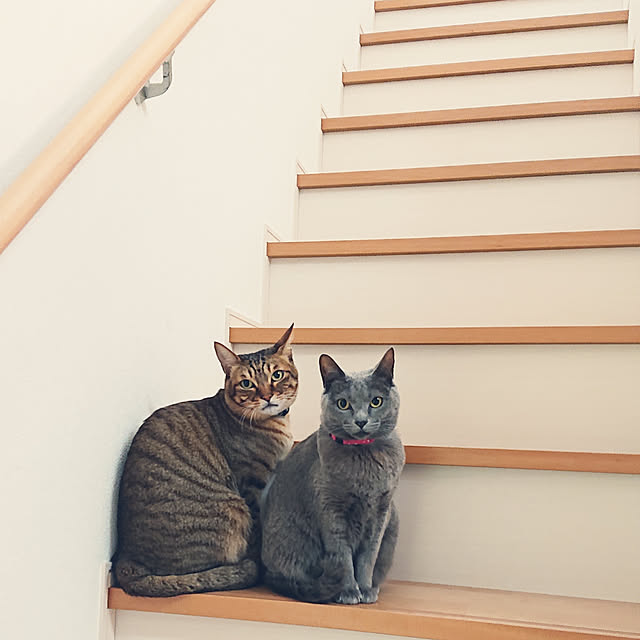 yumikanaさんの実例写真
