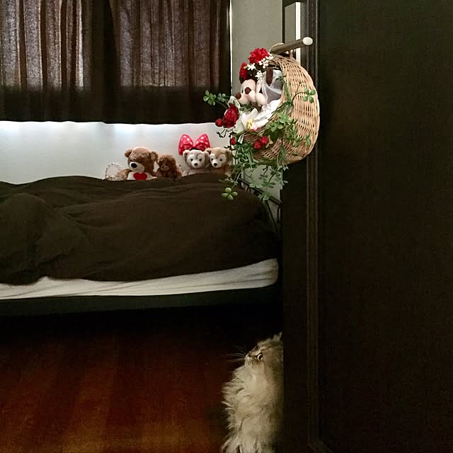 butachanさんの実例写真