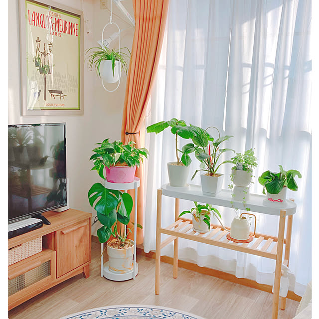 yuyuさんの実例写真