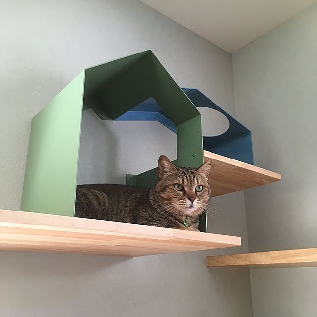 nyancohomeさんの実例写真