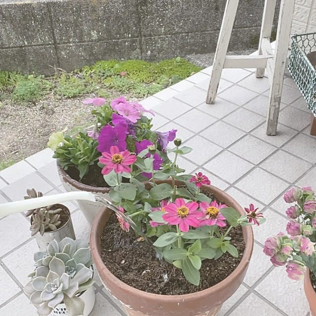 yokoさんの実例写真