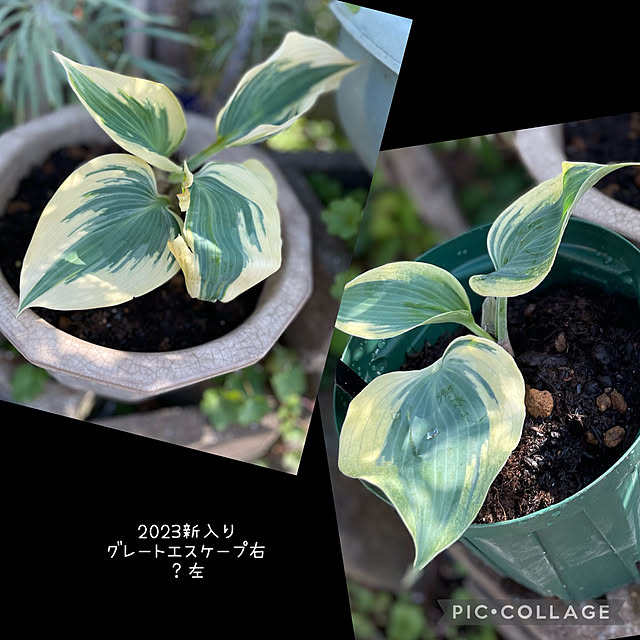 buchiさんの部屋