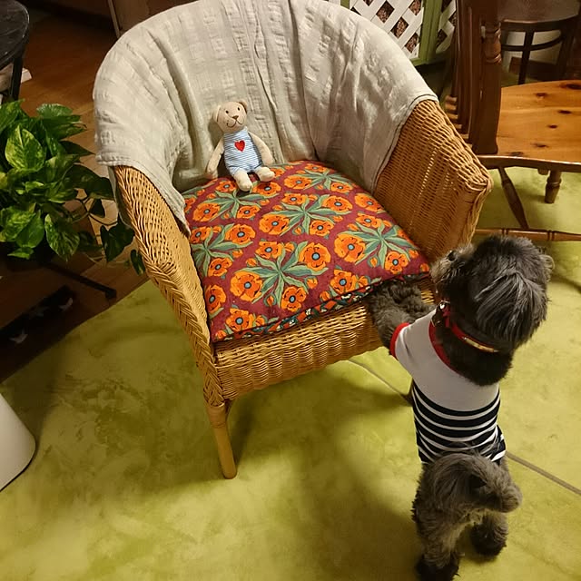 asaさんの実例写真