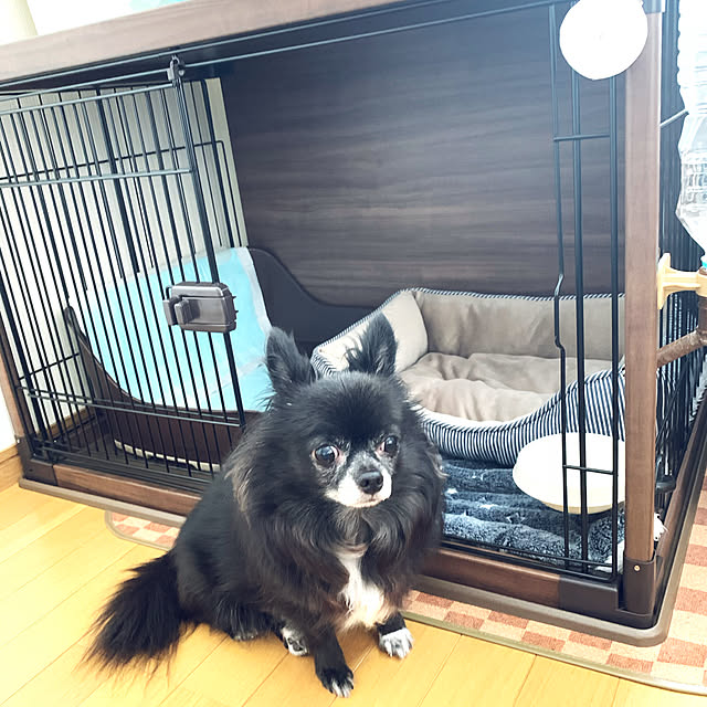 eriさんの実例写真