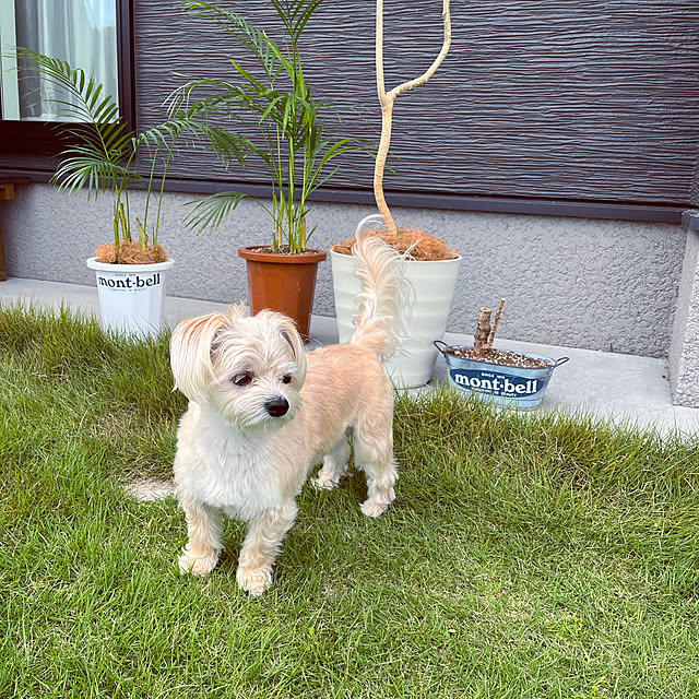 seiさんの部屋