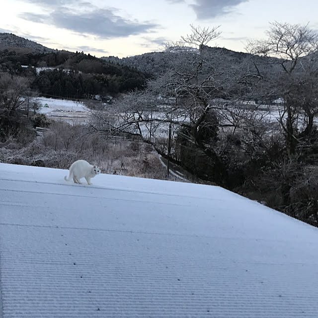 sakurasakuさんの実例写真