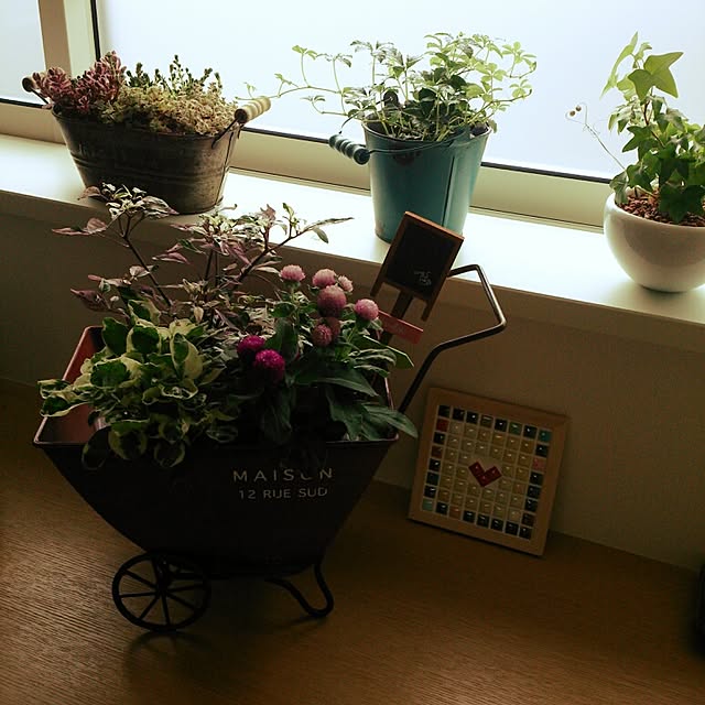 yoopanさんの実例写真