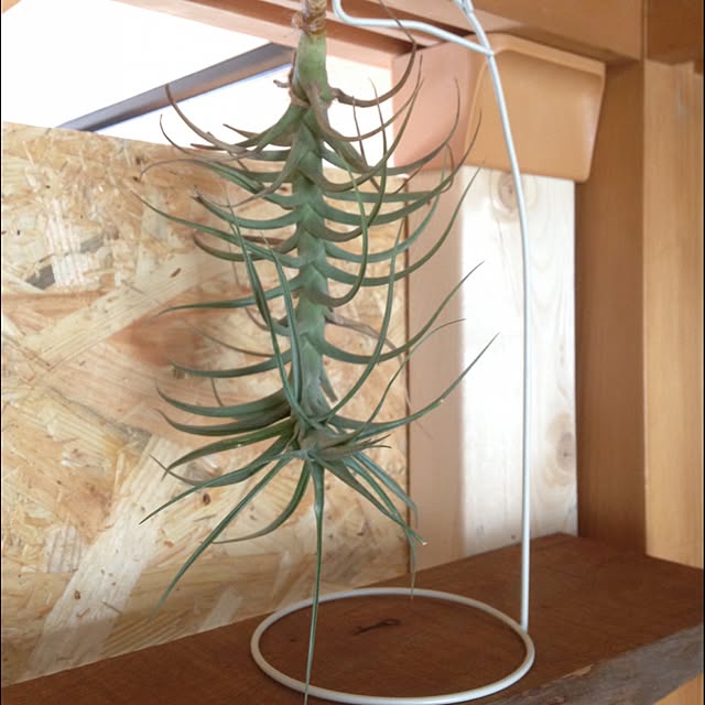 JDRさんの実例写真