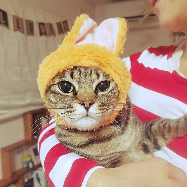 t-famさんの実例写真