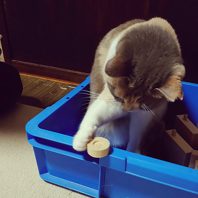fukuさんの実例写真